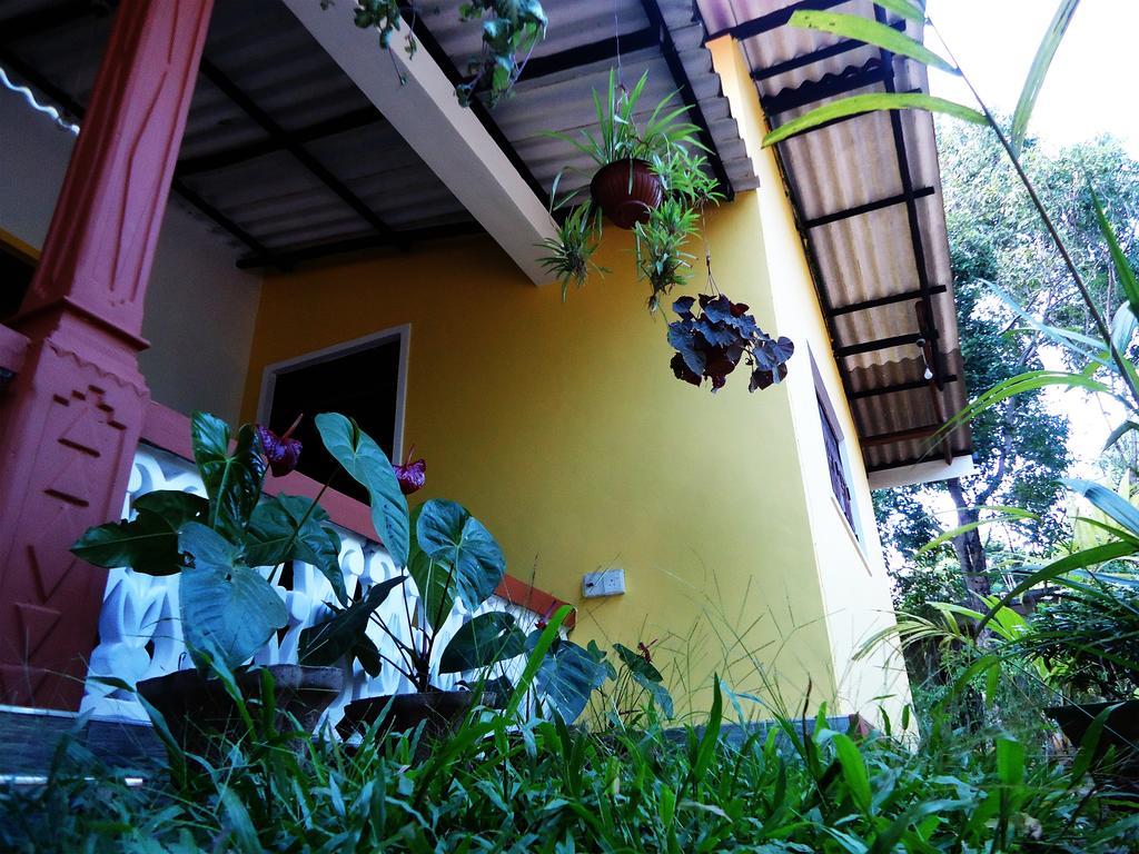 Sigiri Sithru Home Stay 시기리야 외부 사진